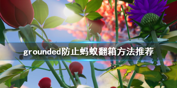 《禁闭求生》蚂蚁翻箱子怎么办？grounded防止蚂蚁翻箱方法推荐