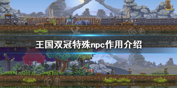 《王国两位君主》特殊npc有哪些？特殊npc作用介绍