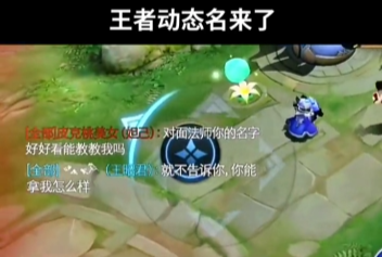 《王者荣耀》动态火柴人昵称怎么设置？