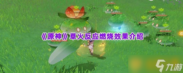 《原神》草火反应燃烧效果介绍