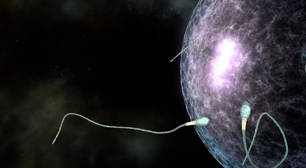 美科学家用《星球大战》创意制作了精子与卵子结合的过程