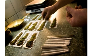 打造大麻主题度假地 美国上市大麻公司买下一个小镇