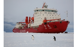“雪龙”号成我国第一艘成功穿越北极中央航道的船只