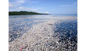 令人震惊！昔日的海洋天堂变成可怕的垃圾堆