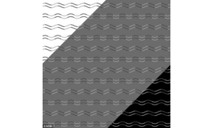 魔性十足！日本科学家发现了所谓全新视错觉图片