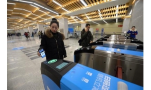 全国首个“种在城市里的蚂蚁森林”亮相西安