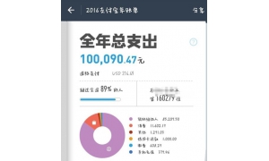 支付宝个人2017年度账单发布 网友：信不信我把手机砸了