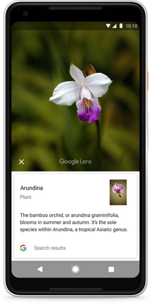 Google Lens将登陆更多Android设备 目前仅支持英语