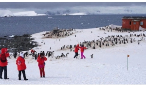 游客潮或在干扰南极科考站 破坏环境干扰科考