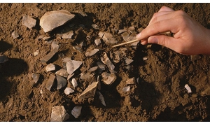 三峡地区发现最古老动物足迹 但不确定其属于哪个物种