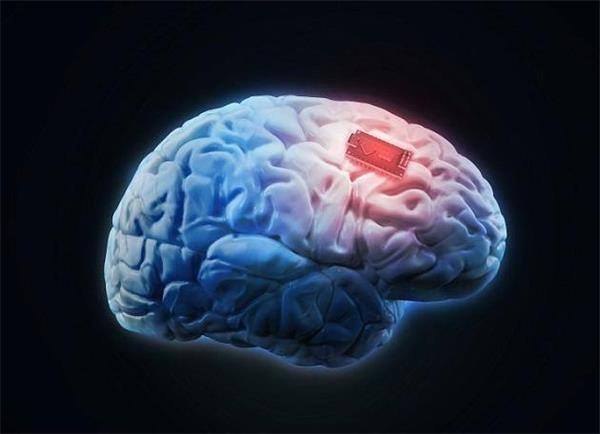 脑芯片：是人脑增强仪还是定时引爆器？