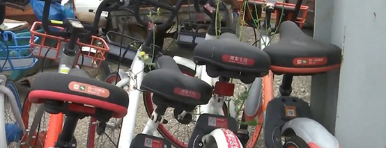 新型骗局!880元认购一辆共享单车每天返利60元