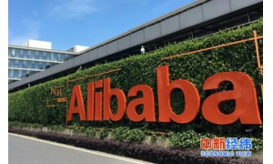 宜从廉正合规体系建设感知诚信文化的特质