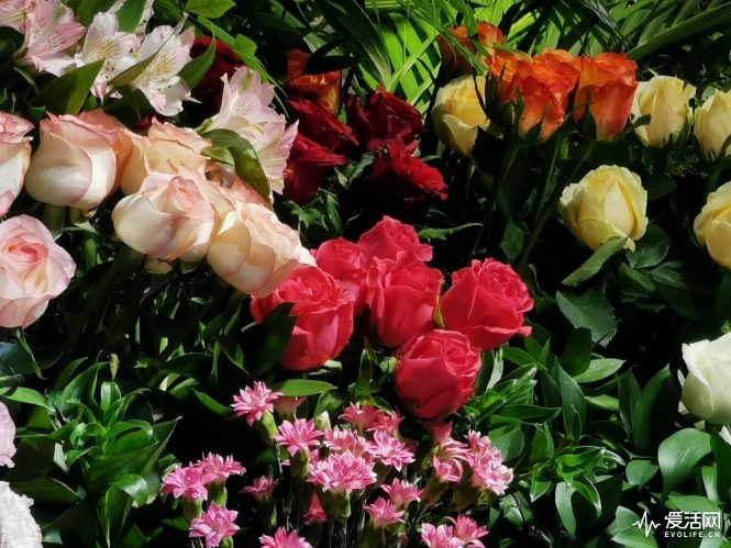 image015