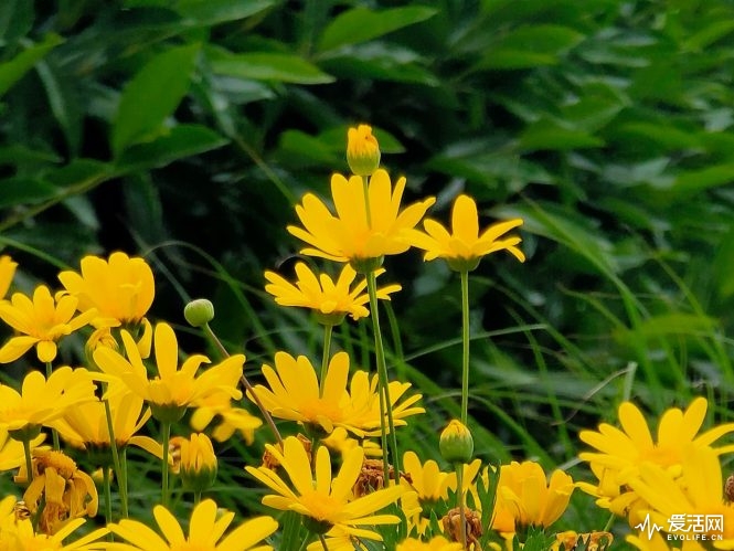 image044