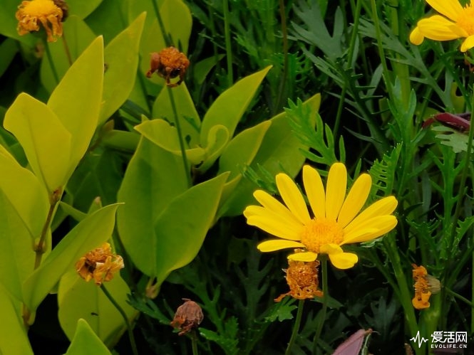 image018