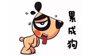 蚂蚁庄园4月12日庄园小课堂答案 小明在工作日加班到晚上11点那他加班的时薪应