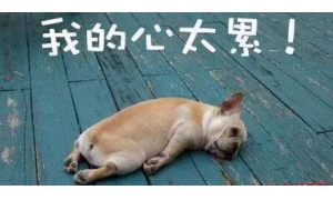 小明在工作日加班到晚上11点，那他加班的时薪应不低于 平时时薪1.5倍平时时薪