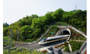 长三角百万旅客量，社会生活新气象