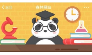 海獭宝宝趴在妈妈哪里睡觉？ 微博森林驿站每日一题