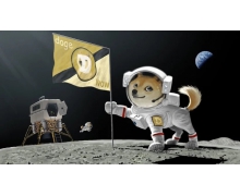 SpaceX将把一枚狗狗币带到月球 这事儿居然成真了！