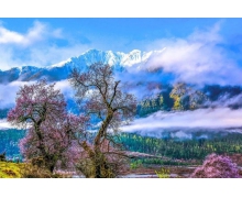 拉林铁路，奏响雪域高原发展新乐章