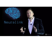 重磅！马斯克的脑机接口公司Neuralink完成2.05亿美元C轮融资