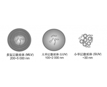 【瑞芯智造】高精度超灵敏生物检测平台_生物医药/纳米药/疫苗_更精确的单颗