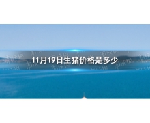 11月19日生猪价格是多少 11.19猪肉价格一览表