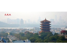 武汉的别名是什么城蚂蚁庄园11.28 武汉的别名是江城又被称为答案最新
