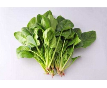哪种蔬菜适合生吃 蚂蚁庄园紫甘蓝菠菜今日答案12.19