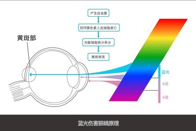 什么是“蓝光危害”？显示器一定要过滤蓝光么？