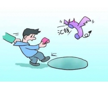 全国反电信网络诈骗专用号码是96110还是12110蚂蚁庄园