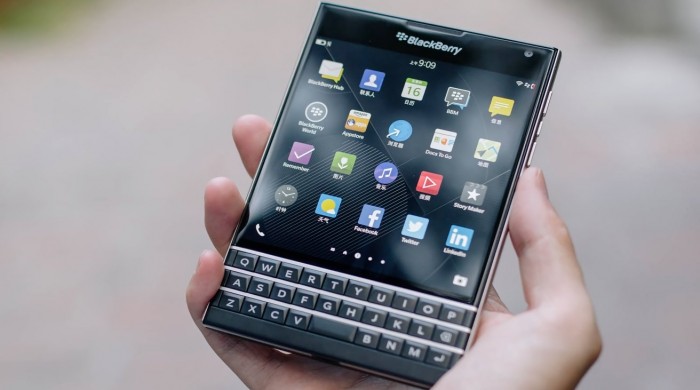 46774-91174-blackberry-in-hand-xl.jpg