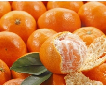 吃太多橘子皮肤会变黄是因为体内胡萝卜素过量还是身体过敏反应 蚂蚁庄园小