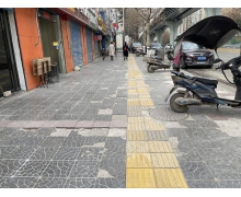 盲道上的不同砖面，主要是用来帮助盲人 蚂蚁庄园今日答案早知道2月24日