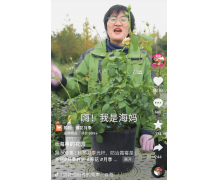 成都二胎妈妈为女儿建花园引百万围观 她在抖音电商让鲜花走进千家万户