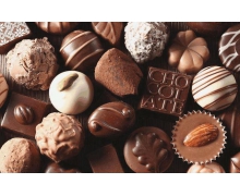 巧克力是很多人眼里的美食，能喂给狗狗吃吗 蚂蚁庄园今日答案早知道6月13日
