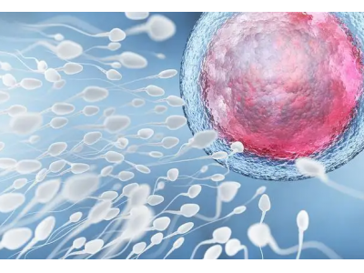 不用生殖细胞就能创造生命，清华团队最新研究登Nature