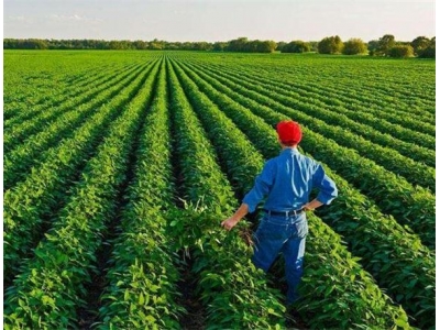 对于新型职业农民，应该掌握哪些生产技术和管理技术？