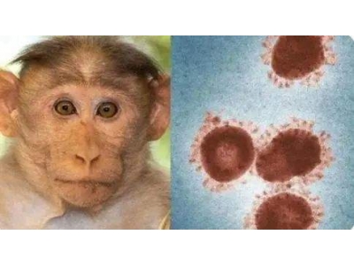 首例病毒传入中国台湾：猴痘