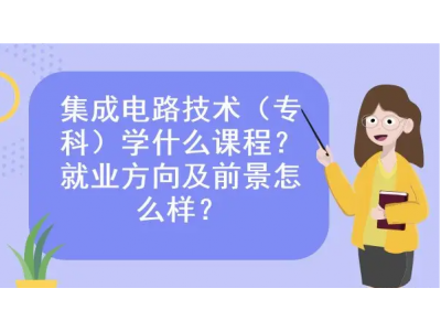 国内集成电路做的最好的公司有哪些？