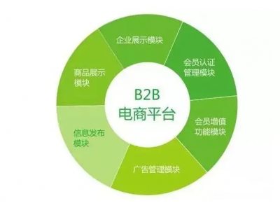 什么网站是纯网上经营型的b2c电子商务商城