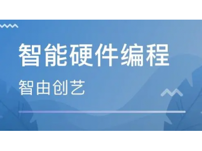 有人能介绍下编智未来的Micro:bit智能硬件编程吗？