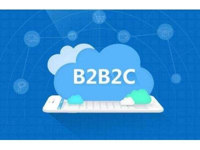 目前B2B2C电子商务企业的运作流程一般是怎么样的？分别有哪些盈利模式？