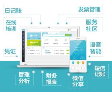 财税SAAS是什么意思