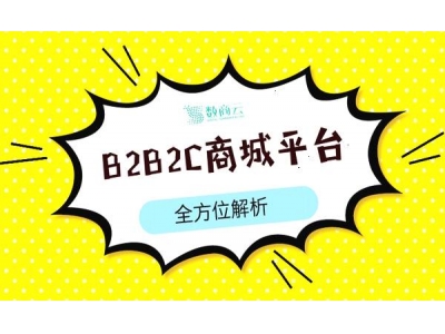 商易网的B2B2C运营模式是什么？