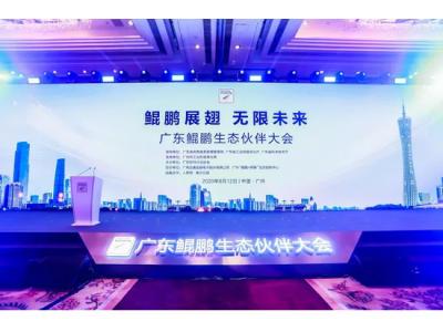 鲲鹏的寓意是什么？