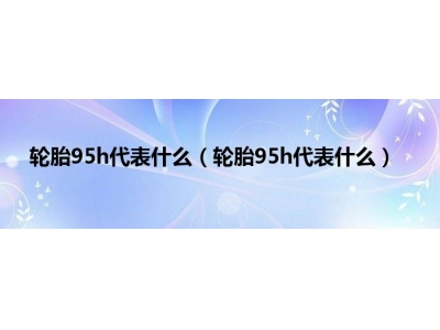 轮胎95h代表什么（轮胎95h代表什么）