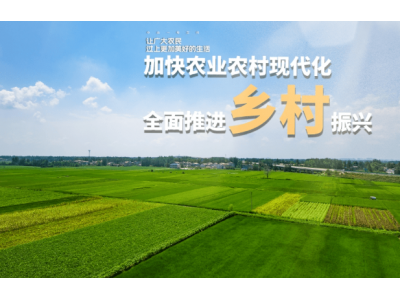 现在的农村经济发展根本在哪里？